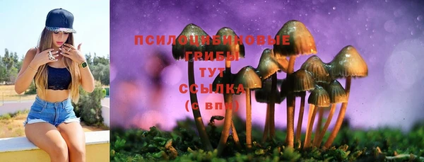 индика Алзамай