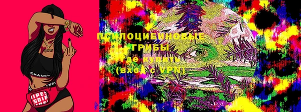 индика Алзамай