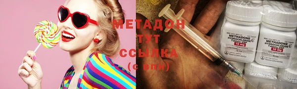 индика Алзамай