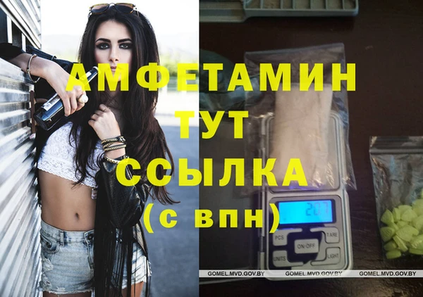 индика Алзамай