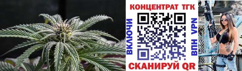 сколько стоит  Шадринск  ТГК гашишное масло 