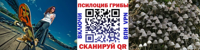 Псилоцибиновые грибы мухоморы  Шадринск 