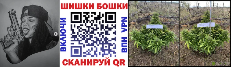 ссылка на мегу сайт  Шадринск  Бошки Шишки SATIVA & INDICA 